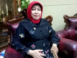 Kesiapan Kompetensi dan Kemampuan Adaptasi ASN Jadi Kunci Sukses Penyegaran Birokrasi Barito Utara